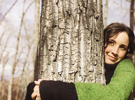 sustainability-cube-banner1.jpg